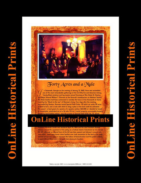 FORTY ACRES AND A MULE #2170